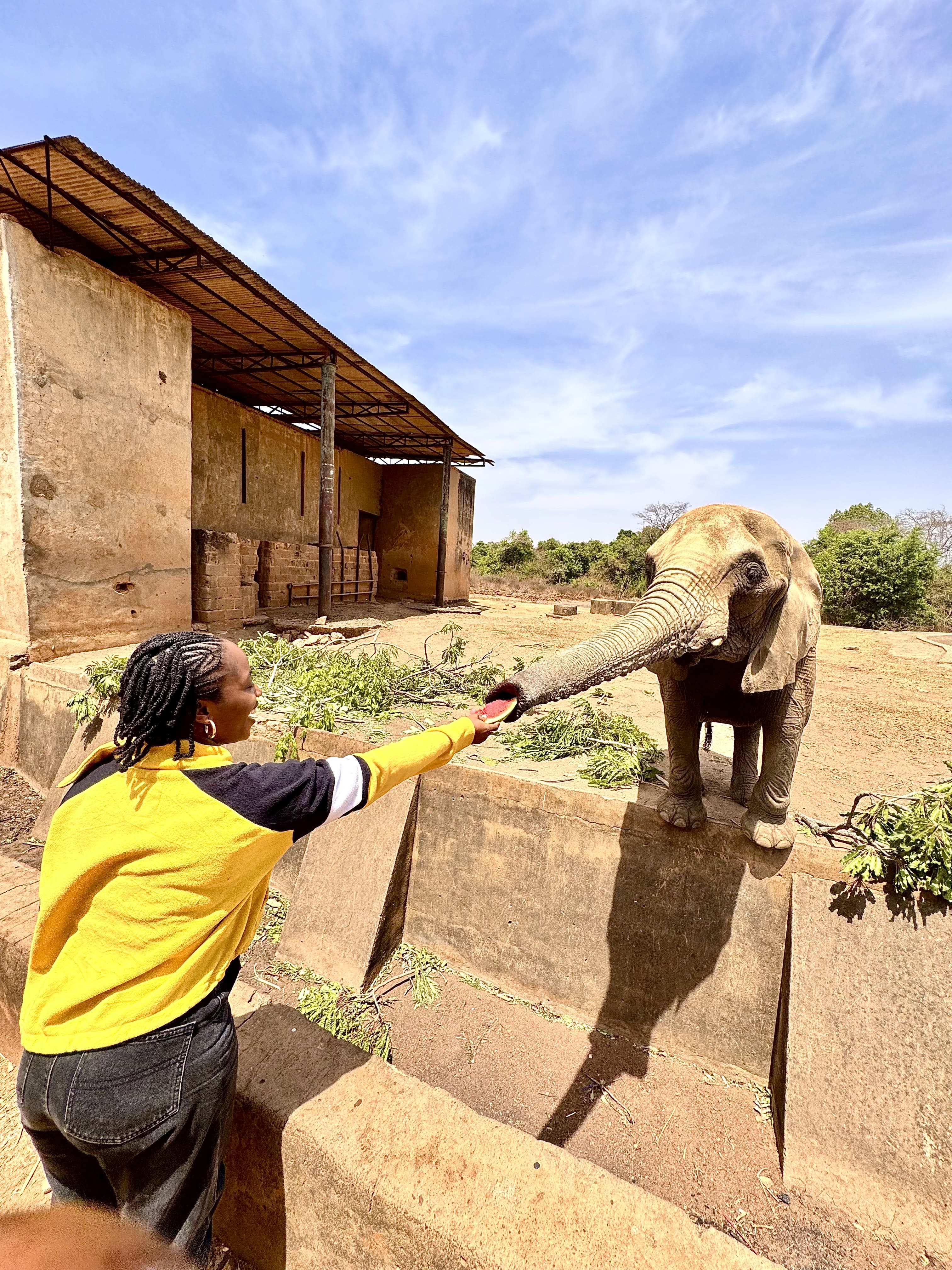 Explore Jos: An Unforgettable Getaway with Muvve